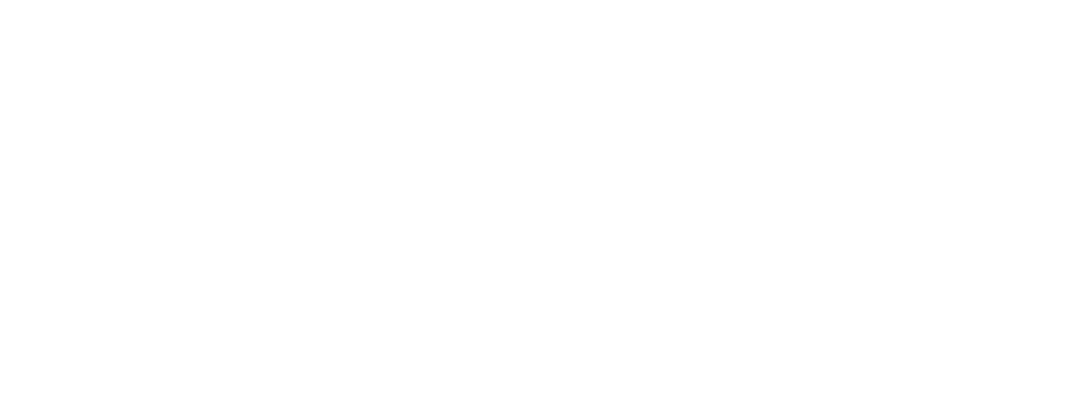Sean Turner Logo